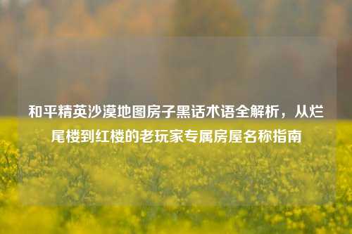 和平精英沙漠地图房子黑话术语全解析，从烂尾楼到红楼的老玩家专属房屋名称指南
