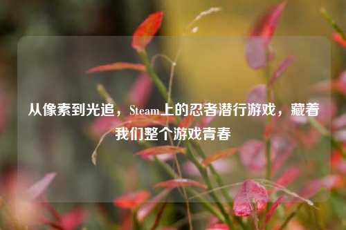 从像素到光追，Steam上的忍者潜行游戏，藏着我们整个游戏青春