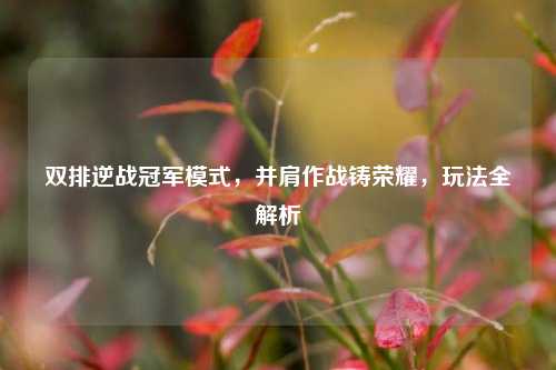 双排逆战冠军模式，并肩作战铸荣耀，玩法全解析