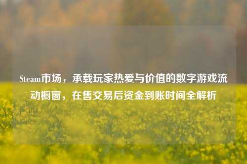 Steam市场,承载玩家热爱与价值的数字游戏流动橱窗,在售交易后资金到账时间全解析