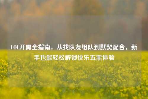 LOL开黑全指南,从找队友组队到默契配合,新手也能轻松解锁快乐五黑体验