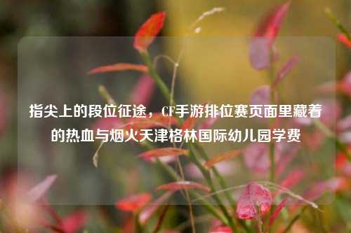 指尖上的段位征途,CF手游排位赛页面里藏着的热血与烟火天津格林国际幼儿园学费