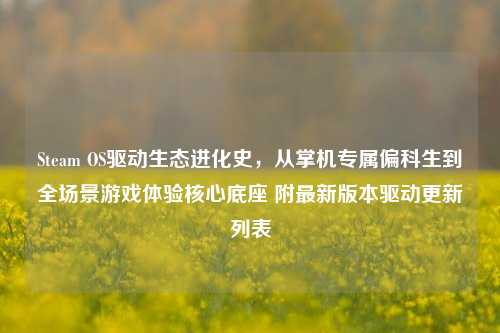 Steam OS驱动生态进化史，从掌机专属偏科生到全场景游戏体验核心底座 附最新版本驱动更新列表