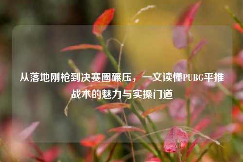 从落地刚枪到决赛圈碾压，一文读懂PUBG平推战术的魅力与实操门道