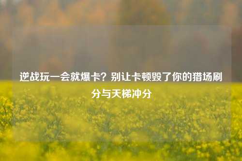 逆战玩一会就爆卡？别让卡顿毁了你的猎场刷分与天梯冲分