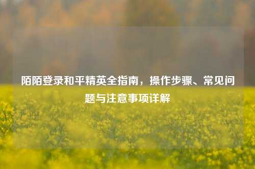 陌陌登录和平精英全指南，操作步骤、常见问题与注意事项详解
