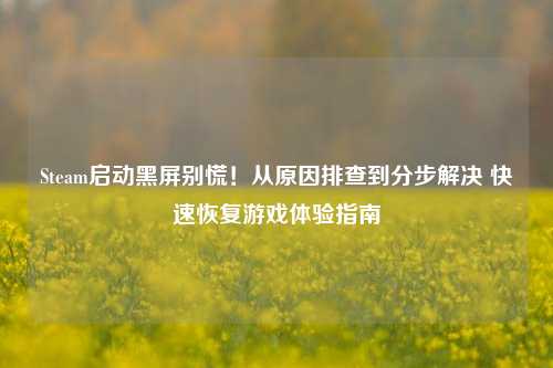 Steam启动黑屏别慌！从原因排查到分步解决 快速恢复游戏体验指南