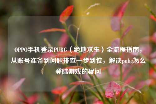 OPPO手机登录PUBG（绝地求生）全流程指南，从账号准备到问题排查一步到位，解决pubg怎么登陆游戏的疑问