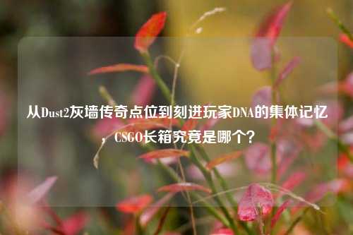 从Dust2灰墙传奇点位到刻进玩家DNA的集体记忆,CSGO长箱究竟是哪个?