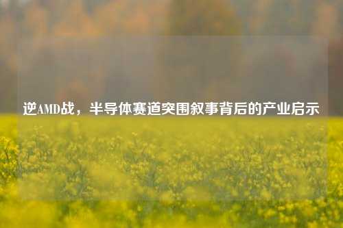 逆AMD战，半导体赛道突围叙事背后的产业启示