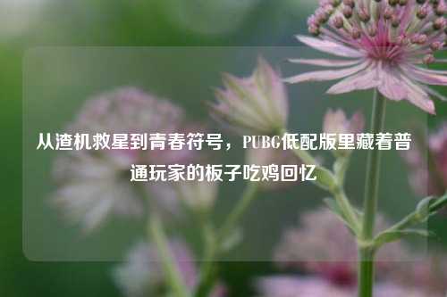 从渣机救星到青春符号,PUBG低配版里藏着普通玩家的板子吃鸡回忆