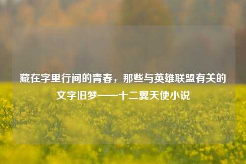 藏在字里行间的青春，那些与英雄联盟有关的文字旧梦——十二翼天使小说