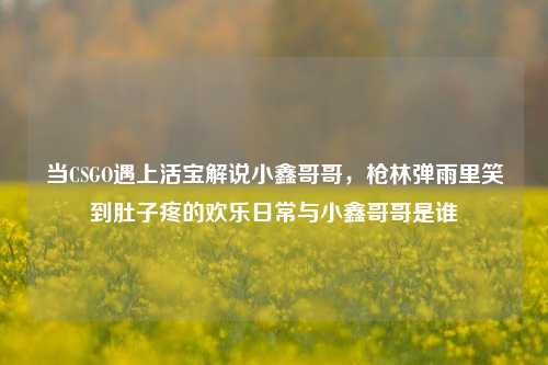 当CSGO遇上活宝解说小鑫哥哥，枪林弹雨里笑到肚子疼的欢乐日常与小鑫哥哥是谁