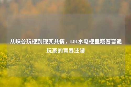 从峡谷玩梗到现实共情，LOL水电梗里藏着普通玩家的青春注脚