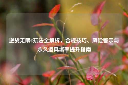逆战无限C玩法全解析，合规技巧、风险警示与永久道具爆率提升指南