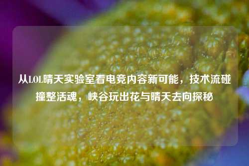 从LOL晴天实验室看电竞内容新可能，技术流碰撞整活魂，峡谷玩出花与晴天去向探秘