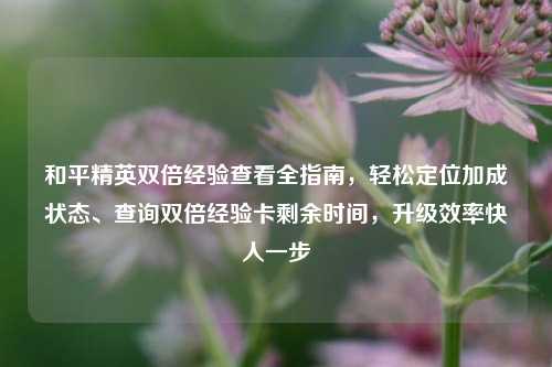 和平精英双倍经验查看全指南，轻松定位加成状态、查询双倍经验卡剩余时间，升级效率快人一步