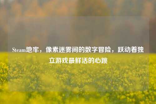 Steam地牢，像素迷雾间的数字冒险，跃动着独立游戏最鲜活的心跳