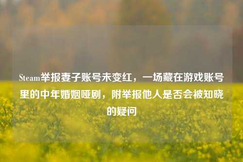 Steam举报妻子账号未变红，一场藏在游戏账号里的中年婚姻哑剧，附举报他人是否会被知晓的疑问
