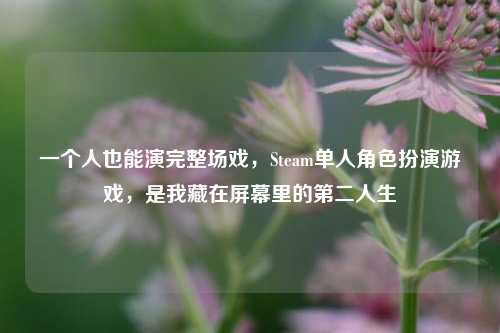 一个人也能演完整场戏，Steam单人角色扮演游戏，是我藏在屏幕里的第二人生