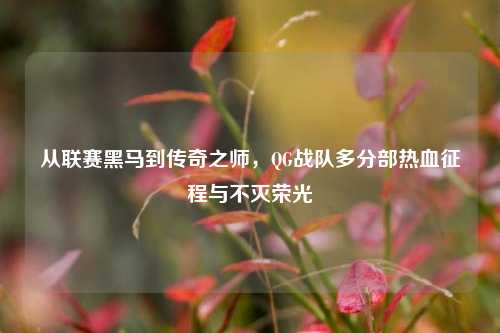 从联赛黑马到传奇之师，QG战队多分部热血征程与不灭荣光