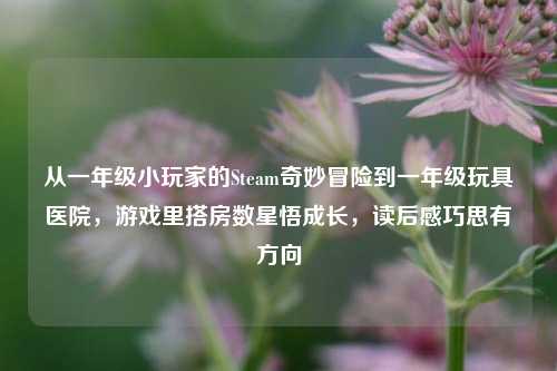 从一年级小玩家的Steam奇妙冒险到一年级玩具医院,游戏里搭房数星悟成长,读后感巧思有方向