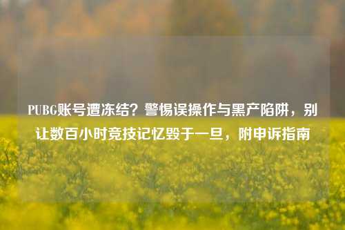 PUBG账号遭冻结？警惕误操作与黑产陷阱，别让数百小时竞技记忆毁于一旦，附申诉指南