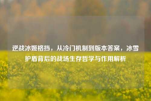 逆战冰姬格挡，从冷门机制到版本答案，冰雪护盾背后的战场生存哲学与作用解析