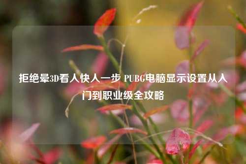 拒绝晕3D看人快人一步 PUBG电脑显示设置从入门到职业级全攻略