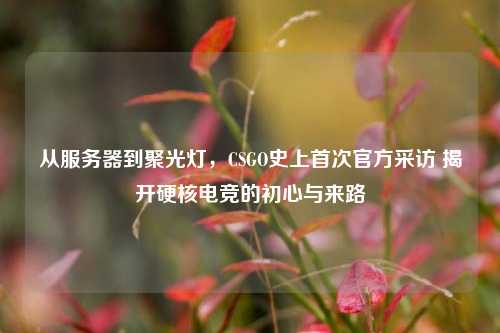 从服务器到聚光灯,CSGO史上首次官方采访 揭开硬核电竞的初心与来路
