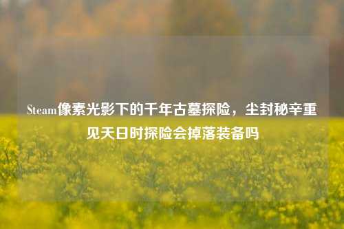 Steam像素光影下的千年古墓探险，尘封秘辛重见天日时探险会掉落装备吗