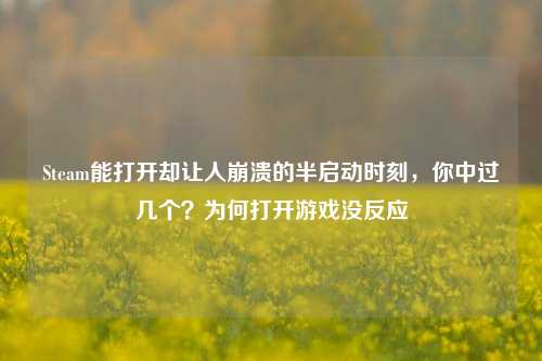 Steam能打开却让人崩溃的半启动时刻，你中过几个？为何打开游戏没反应