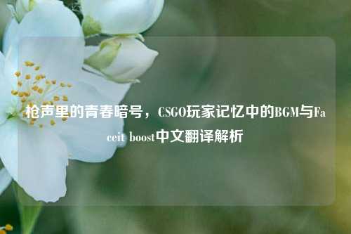 枪声里的青春暗号，CSGO玩家记忆中的BGM与Faceit boost中文翻译解析