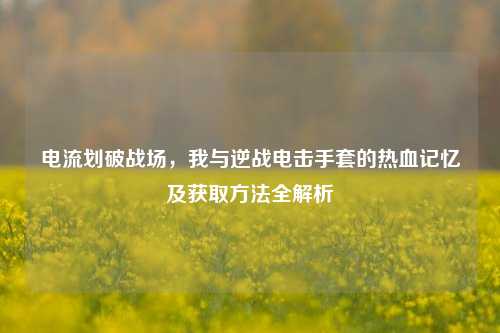 电流划破战场,我与逆战电击手套的热血记忆及获取方法全解析