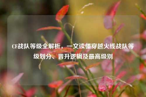 CF战队等级全解析，一文读懂穿越火线战队等级划分、晋升逻辑及最高级别