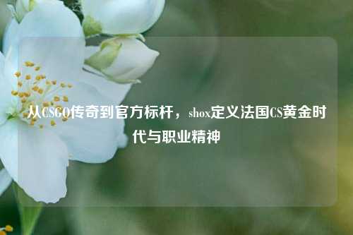 从CSGO传奇到官方标杆，shox定义法国CS黄金时代与职业精神