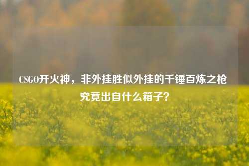 CSGO开火神，非外挂胜似外挂的千锤百炼之枪 究竟出自什么箱子？