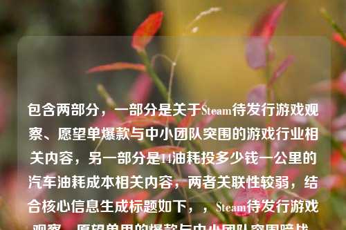 包含两部分，一部分是关于Steam待发行游戏观察、愿望单爆款与中小团队突围的游戏行业相关内容，另一部分是14油耗投多少钱一公里的汽车油耗成本相关内容，两者关联性较弱，结合核心信息生成标题如下，，Steam待发行游戏观察，愿望单里的爆款与中小团队突围暗战，附14油耗每公里成本测算