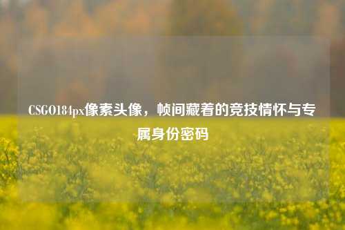 CSGO184px像素头像,帧间藏着的竞技情怀与专属身份密码