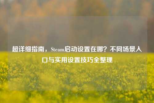 超详细指南，Steam启动设置在哪？不同场景入口与实用设置技巧全整理