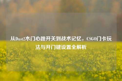 从Dust2木门心跳开关到战术记忆，CSGO门卡玩法与开门键设置全解析