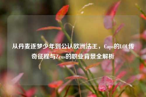 从丹麦逐梦少年到公认欧洲法王，Caps的LOL传奇征程与Zeus的职业背景全解析