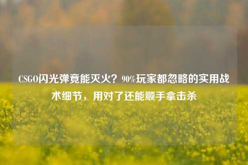 CSGO闪光弹竟能灭火？90%玩家都忽略的实用战术细节，用对了还能顺手拿击杀