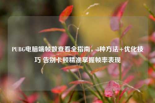PUBG电脑端帧数查看全指南,3种方法+优化技巧 告别卡顿精准掌握帧率表现