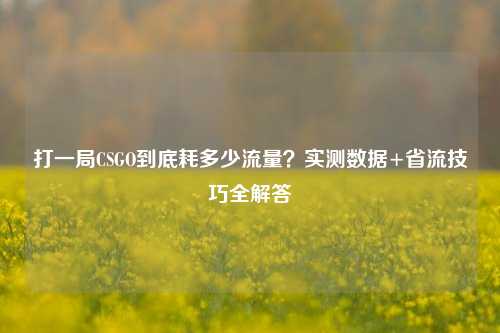 打一局CSGO到底耗多少流量？实测数据+省流技巧全解答