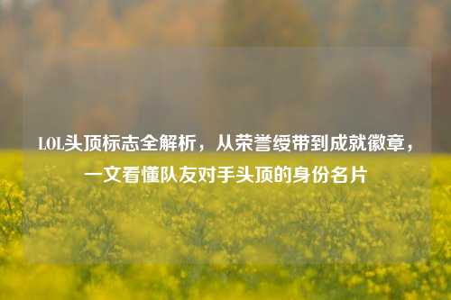 LOL头顶标志全解析，从荣誉绶带到成就徽章，一文看懂队友对手头顶的身份名片