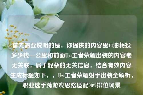 首先需要说明的是，你提供的内容里14油耗投多少钱一公里和前面Uzi王者荣耀出装的内容毫无关联，属于混杂的无关信息，结合有效内容生成标题如下，，Uzi王者荣耀射手出装全解析，职业选手跨游戏思路适配90%排位场景