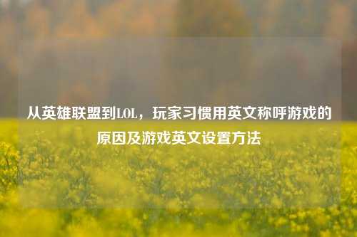 从英雄联盟到LOL，玩家习惯用英文称呼游戏的原因及游戏英文设置方法