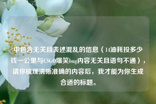 中包含无关且表述混乱的信息(14油耗投多少钱一公里与CSGO爆笑bug内容无关且语句不通),请你梳理清晰准确的内容后,我才能为你生成合适的标题。