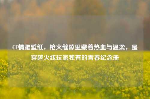 CF情雅壁纸，枪火缝隙里藏着热血与温柔，是穿越火线玩家独有的青春纪念册